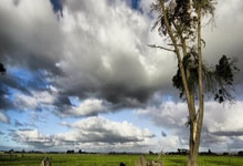 开云体育-浙江队争冠战胜出森林狼，布伦森成为关键先生