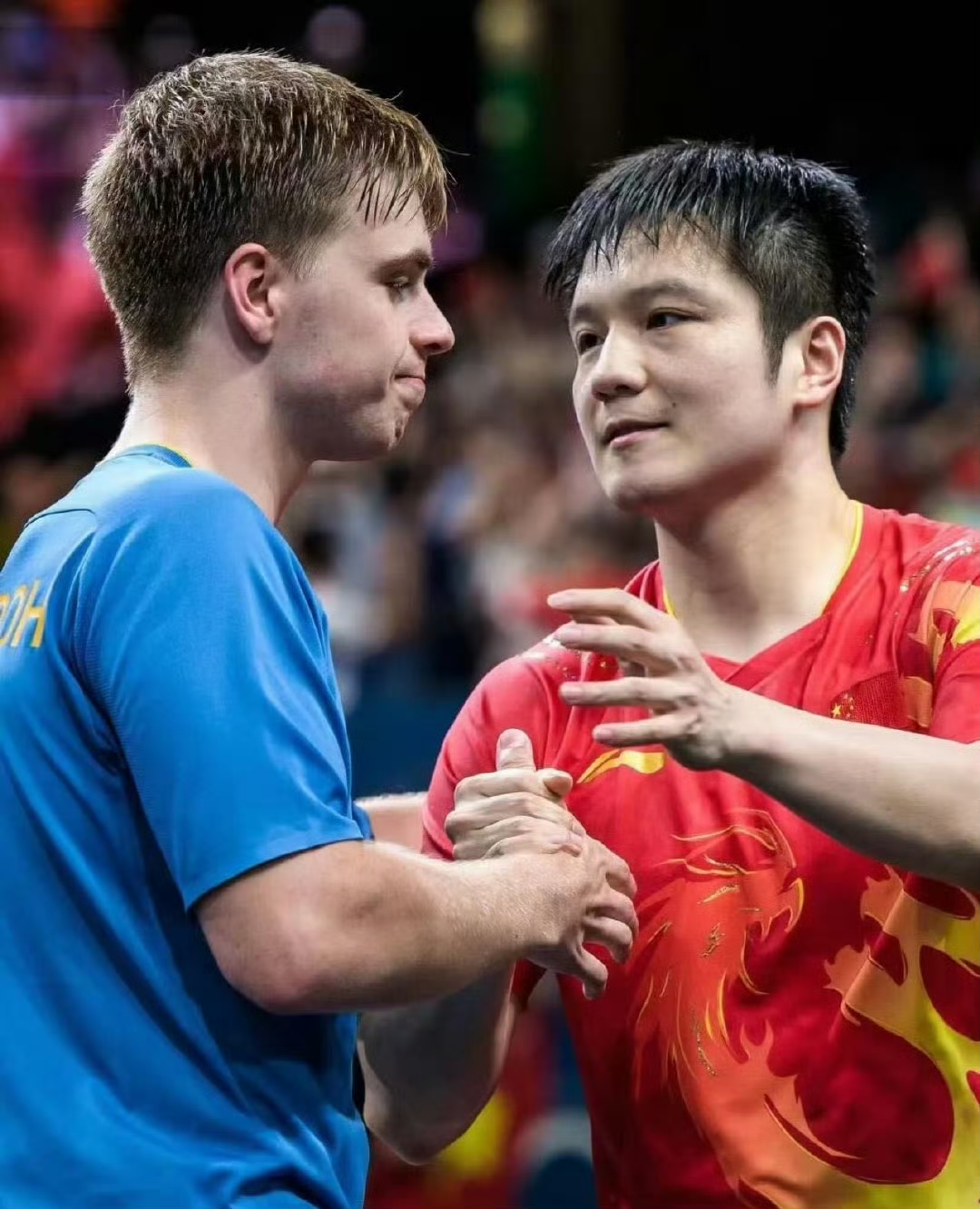 开云体育平台APP-德国队力克瑞典队，樊振东扛起全队