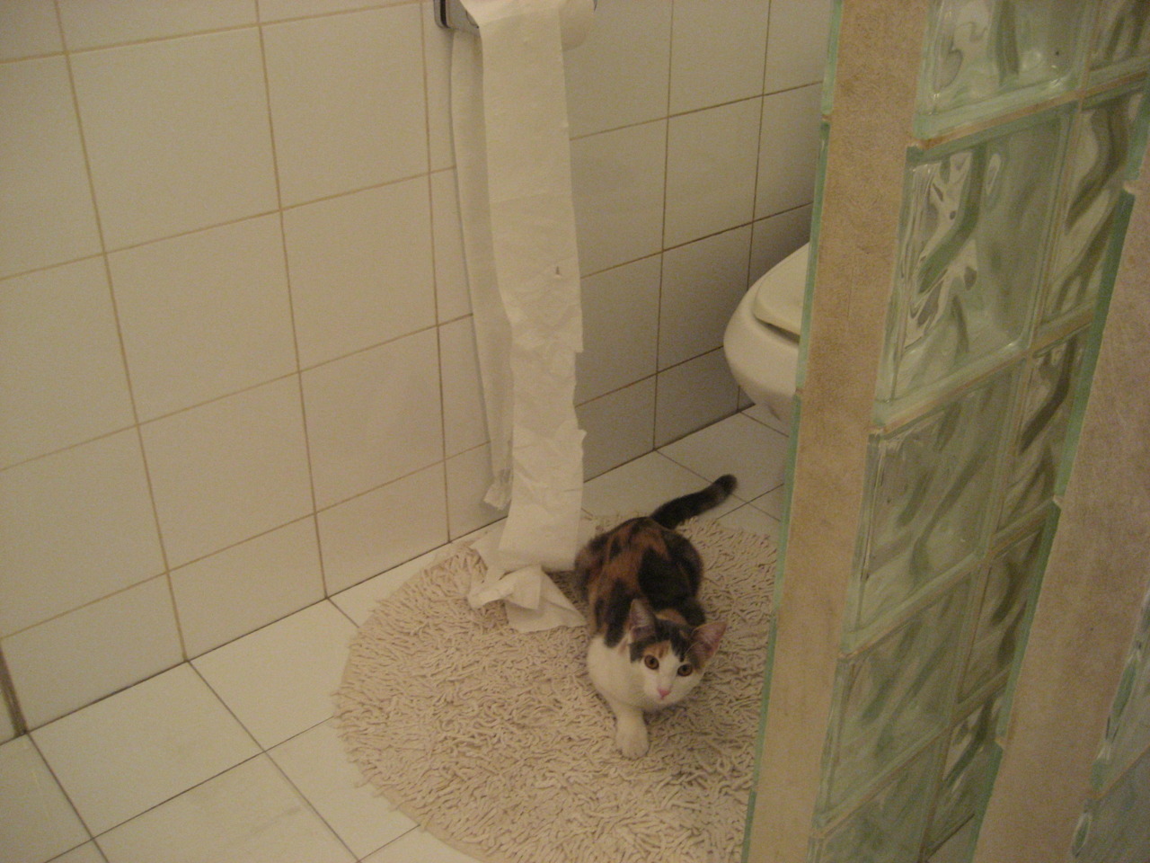 哈弗茨技惊四座，中几热身赛成德国球星个人秀场