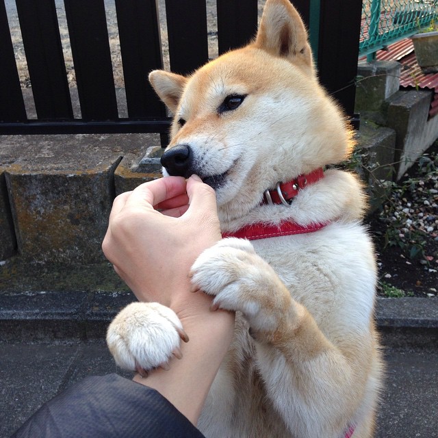 开云体育中国-活塞粉碎勇士神话，拉梅洛·鲍尔用关键先生证明重塑篮球定义