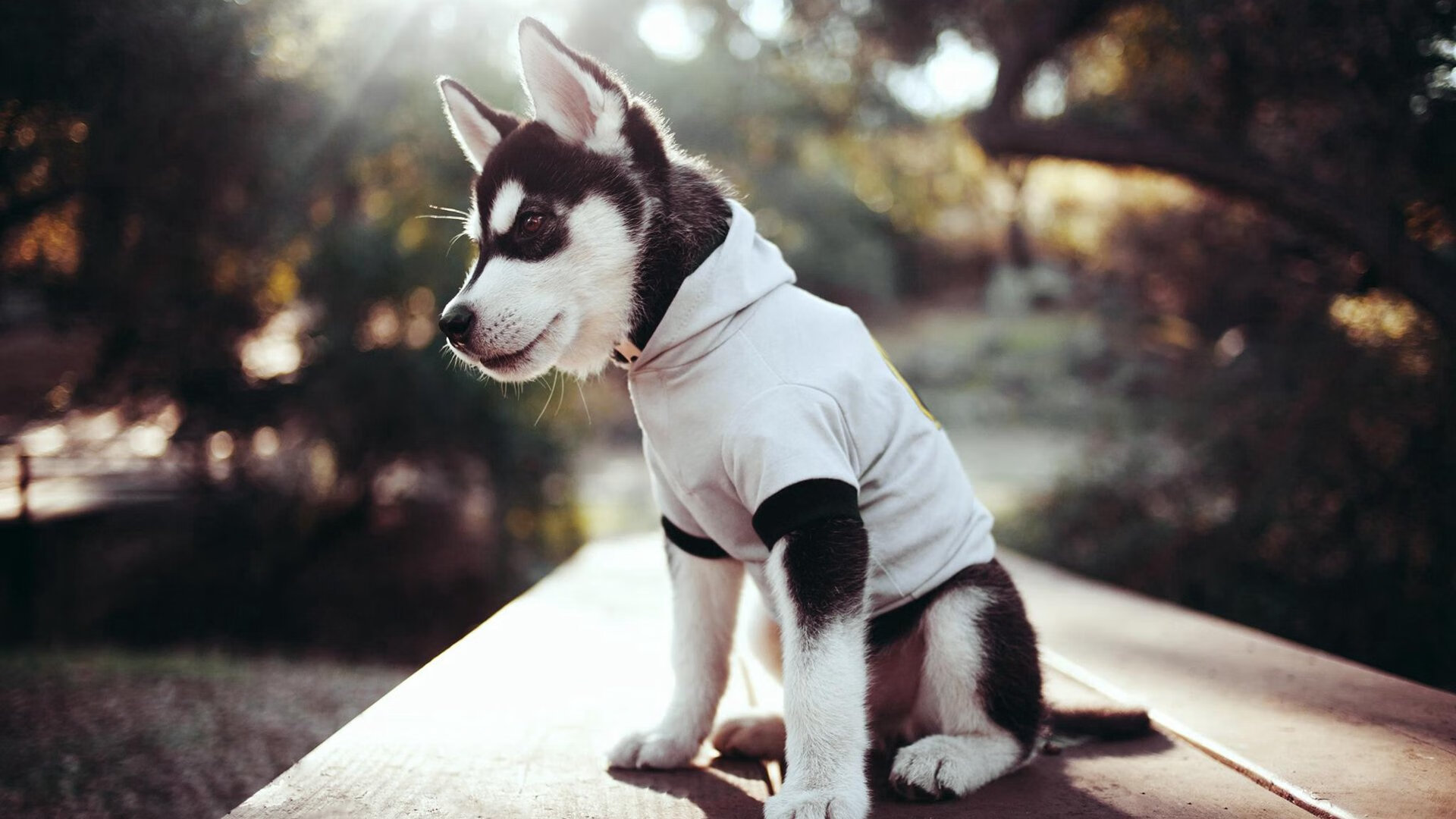 开云体育2026-欧冠淘汰赛之夜，德里赫特再证荷兰冰人本色