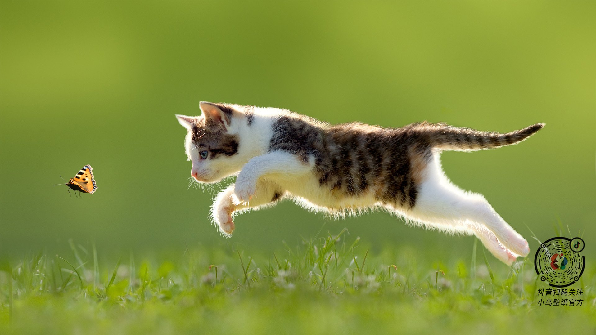 开云体育APP下载-反戈一击！罗德里引爆埃及，莱比锡红牛防线被一匹骆驼刺穿