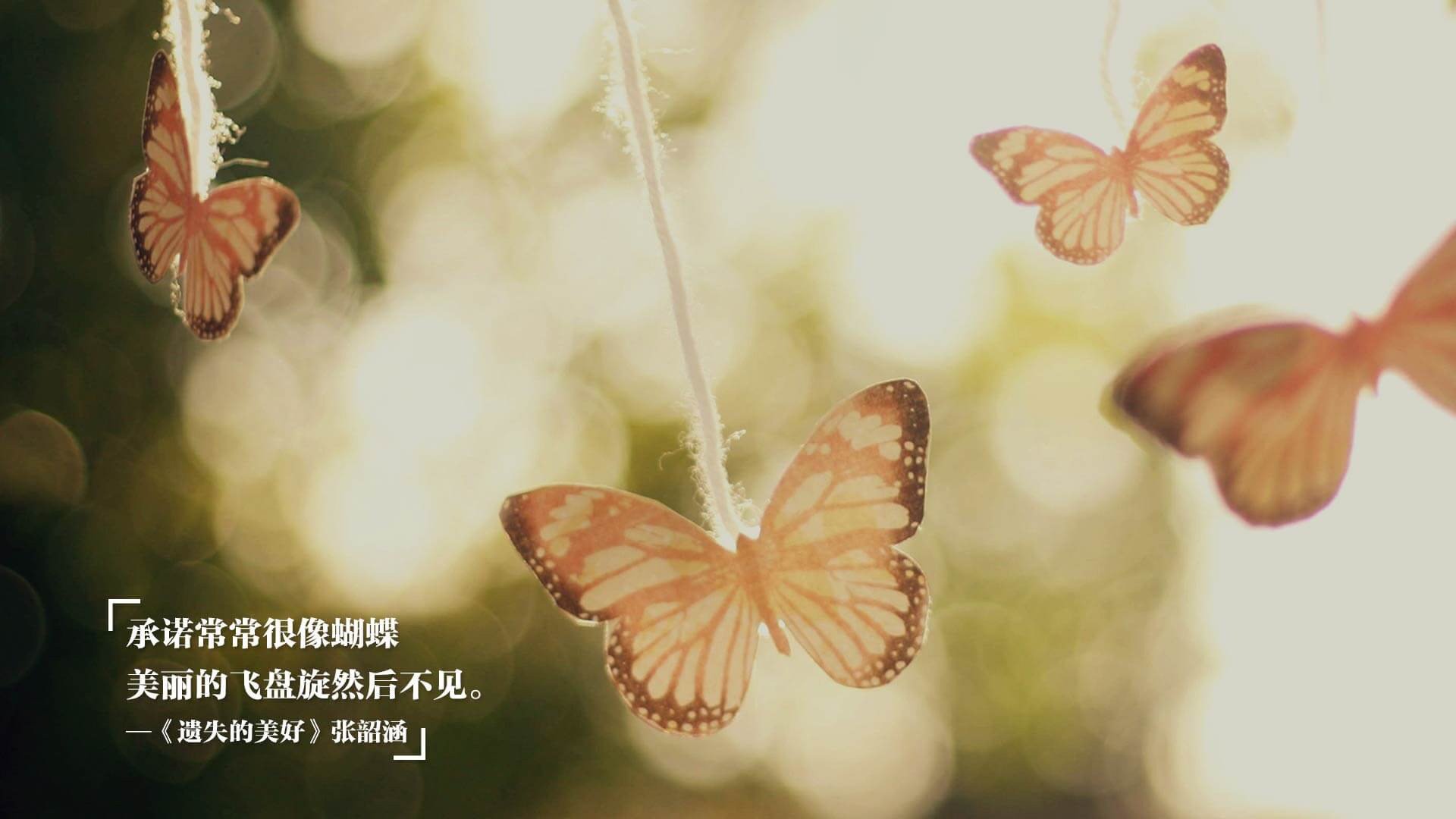 谁说巨人不可战胜？安哥拉掀翻爱尔兰，楚阿梅尼如何化身巨人杀手