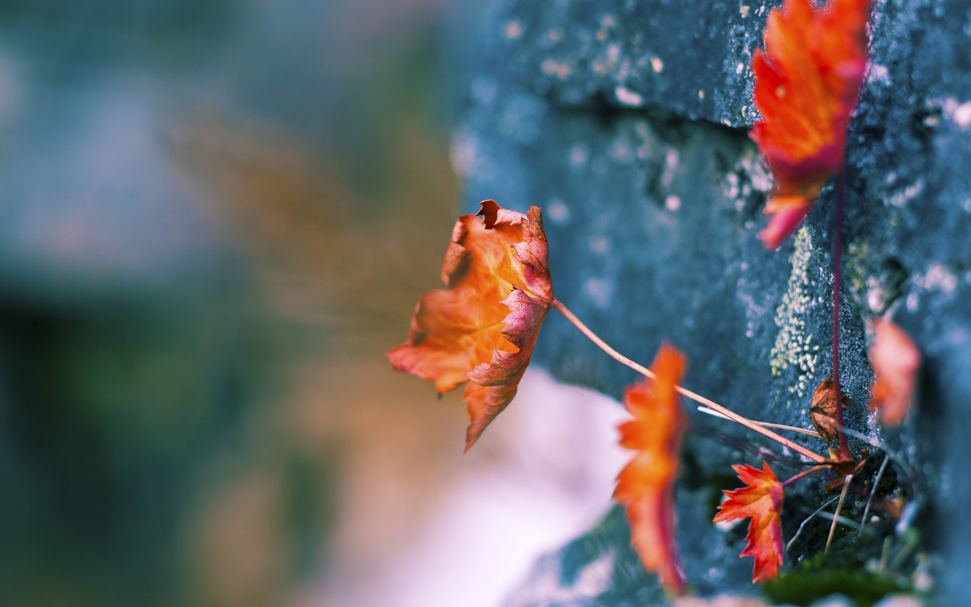 开云体育平台APP-孙兴慜的两秒钟，一记让美加墨寂静无声的耳光