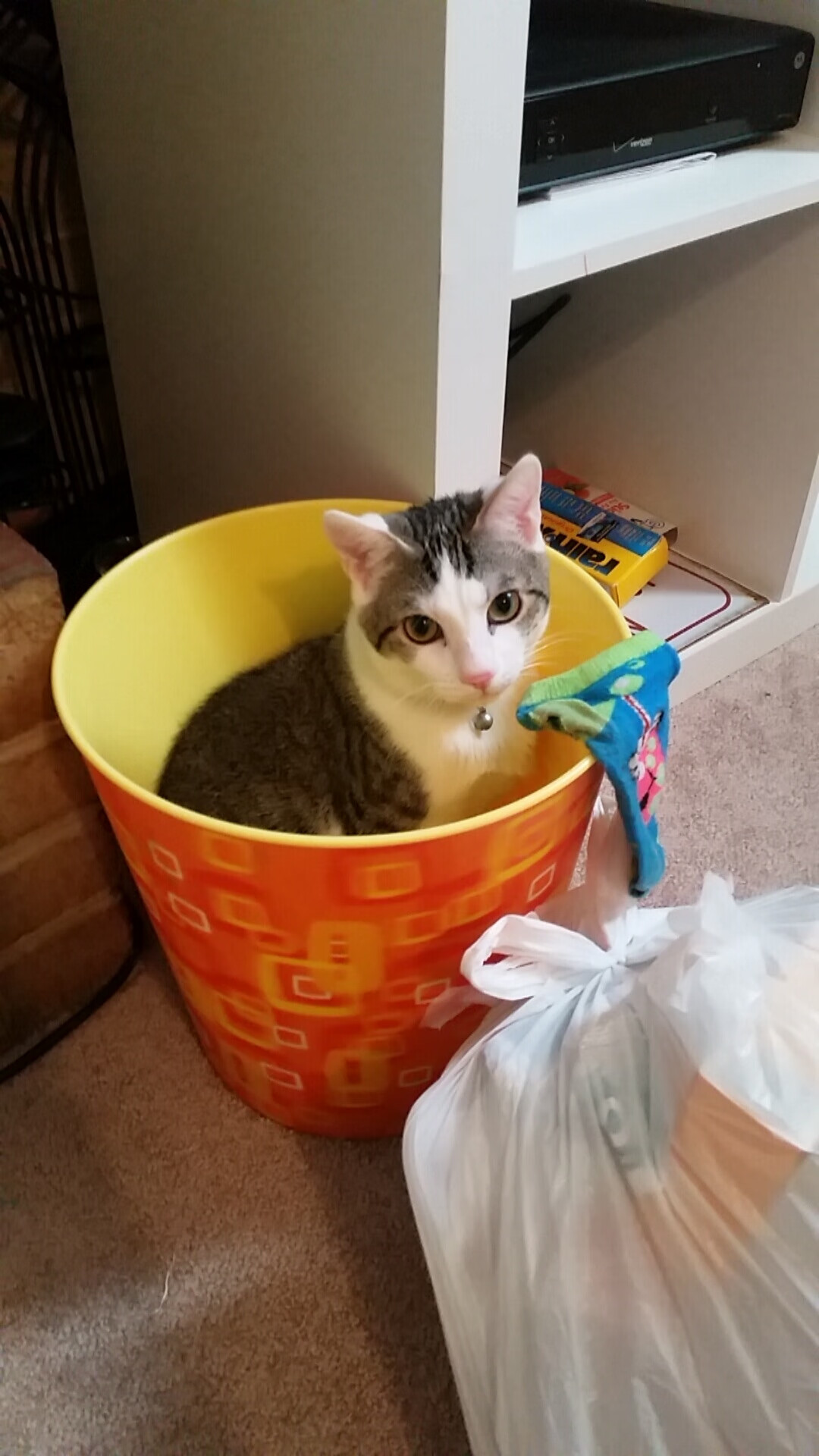 开云体育中国-赛道与球场，当布克在篮球之夜与F1终局上演双线叙事