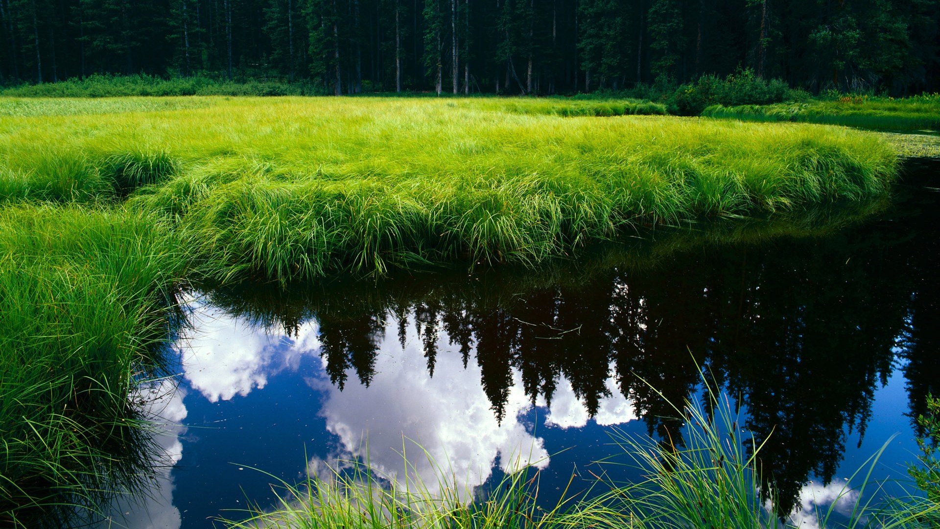 开云体育官网-当失控变得可控，哈利伯顿的17次助攻与季后赛的终极密码