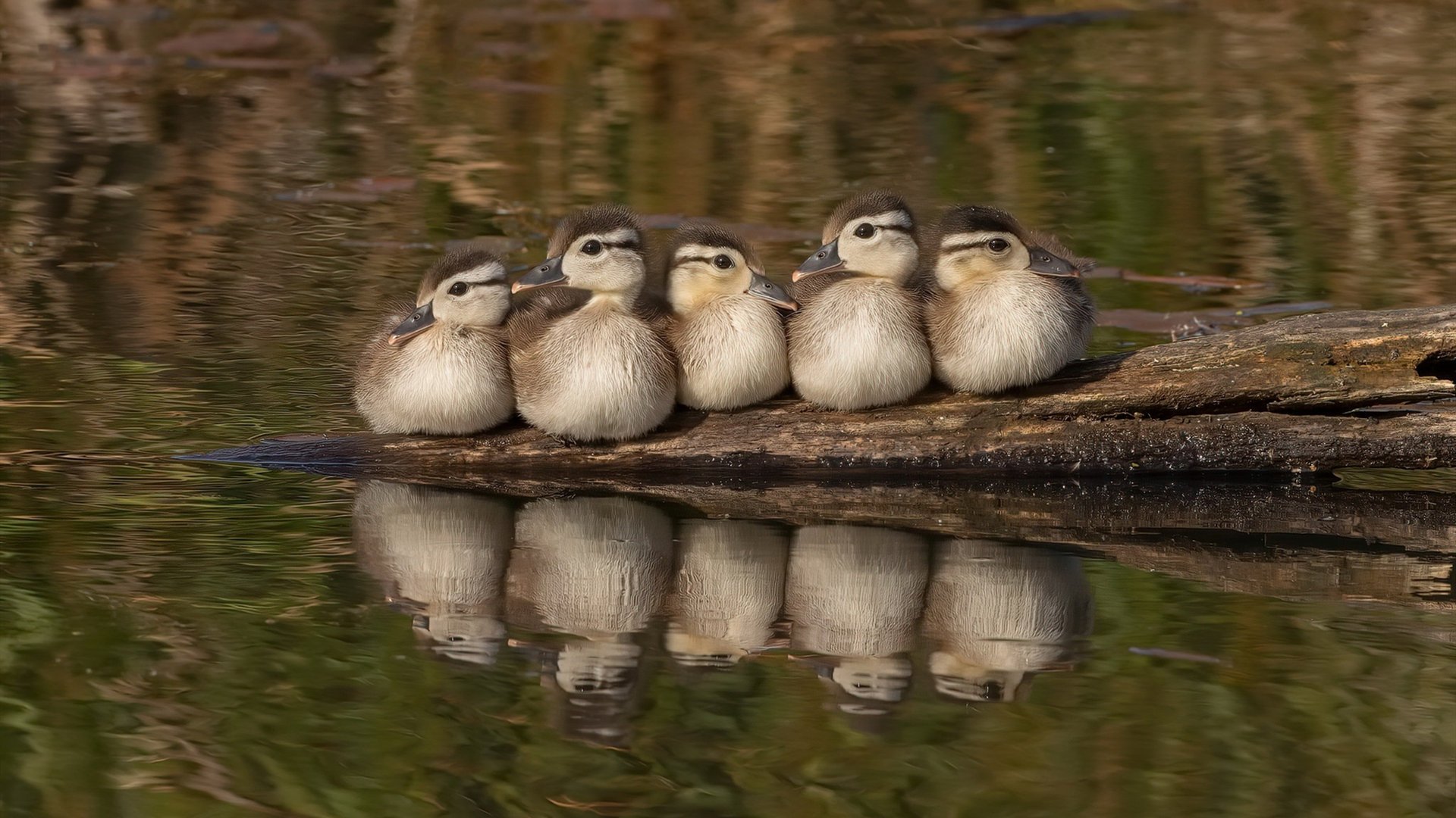 李刚仁，绿茵棋手，教科书级掌控力助日本硬仗擒巴拉圭