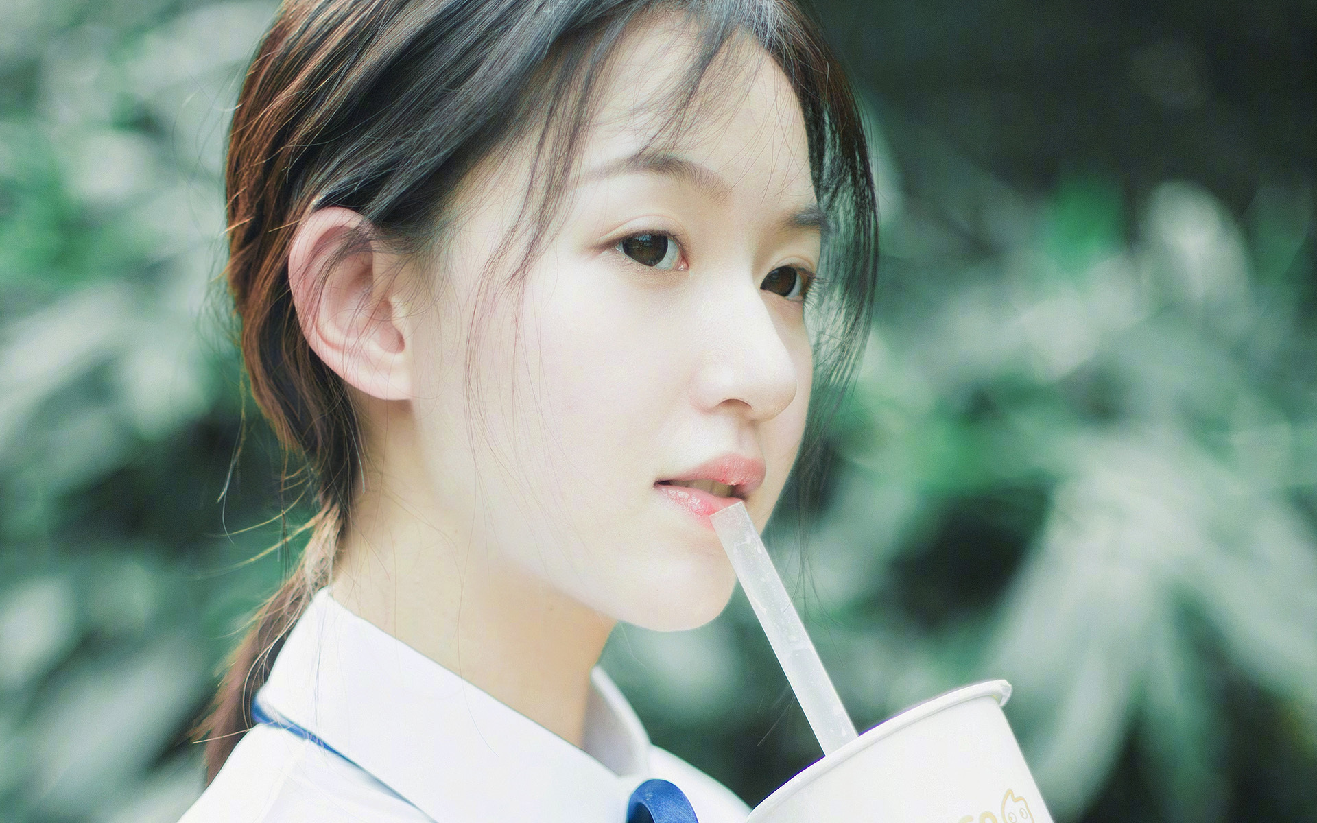 浙江队绝境逢生,美加墨世界杯焦点战前的生死战胜利