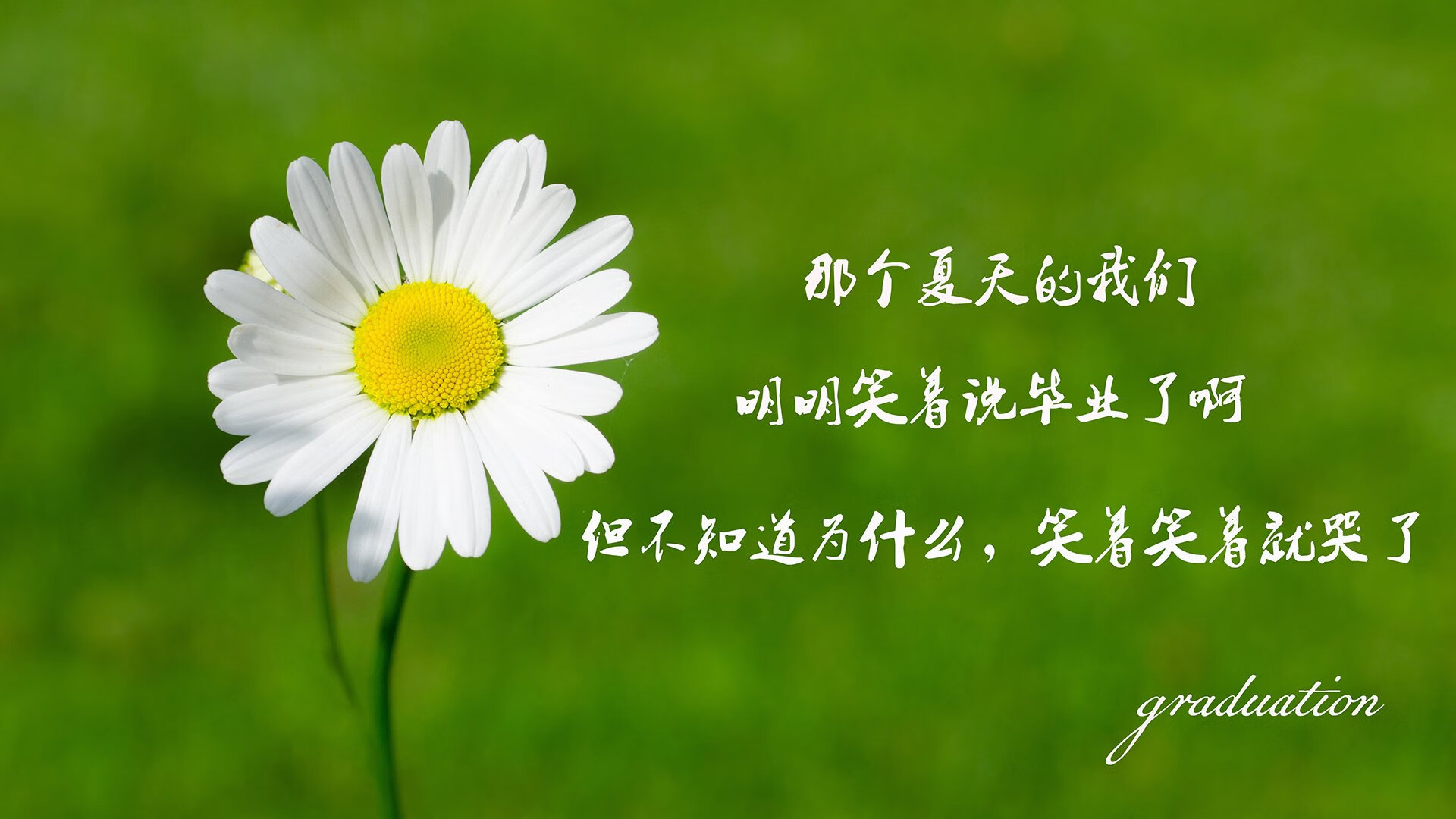 开云体育中国-冠军的基因，从德甲决战到威尔士逆袭，解密足球赢家密码