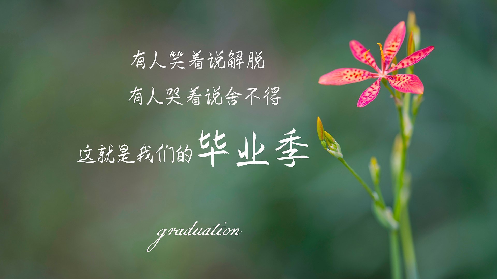 征服者与艺术家，当奥地利用纪律瓦解摩洛哥，莫德里奇以技艺主宰乱局