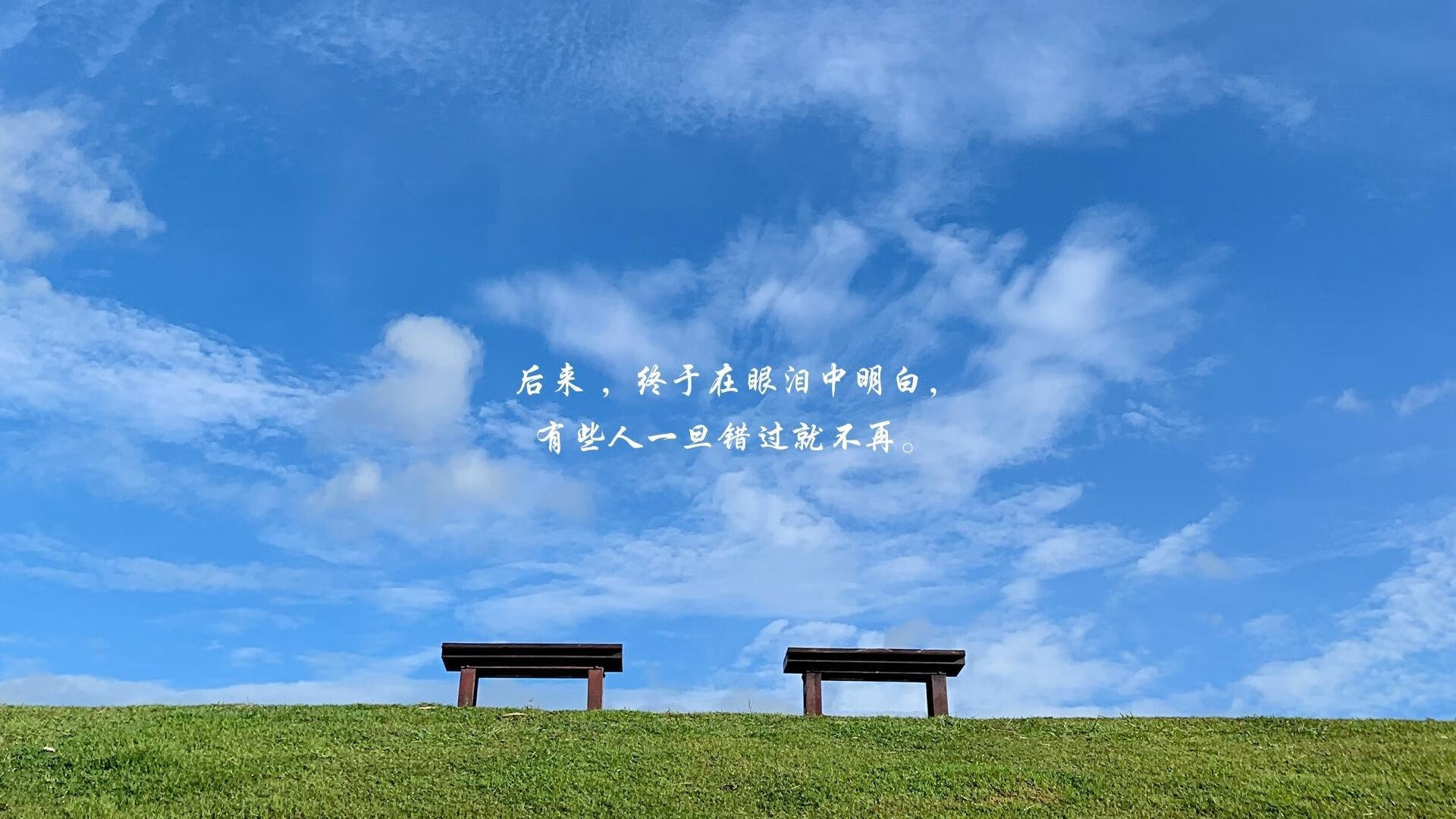 2026世界杯D组生死时速，韩国绝杀日本，穆西亚拉领衔德国战车，防守反击成为破局密码