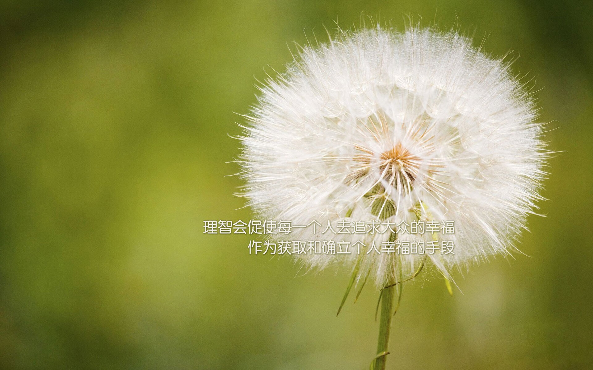 开云体育-布拉格之魂的绝唱，2026年，当捷克铁骑碾过葡萄牙黄金，格列兹曼用集体主义的致命一击锁定唯一传奇