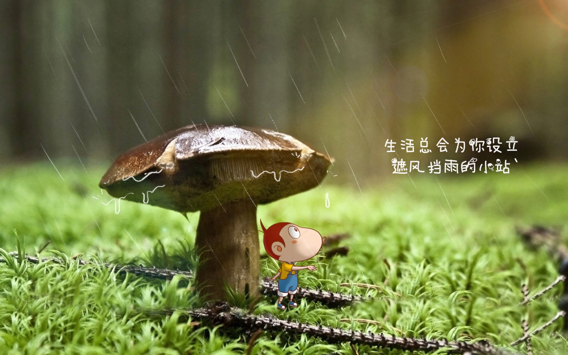 历史性冷门斩杀，德国战车在C组用精密仪器碾压秘鲁，坎塞洛化身边路幽灵重写世界杯剧本